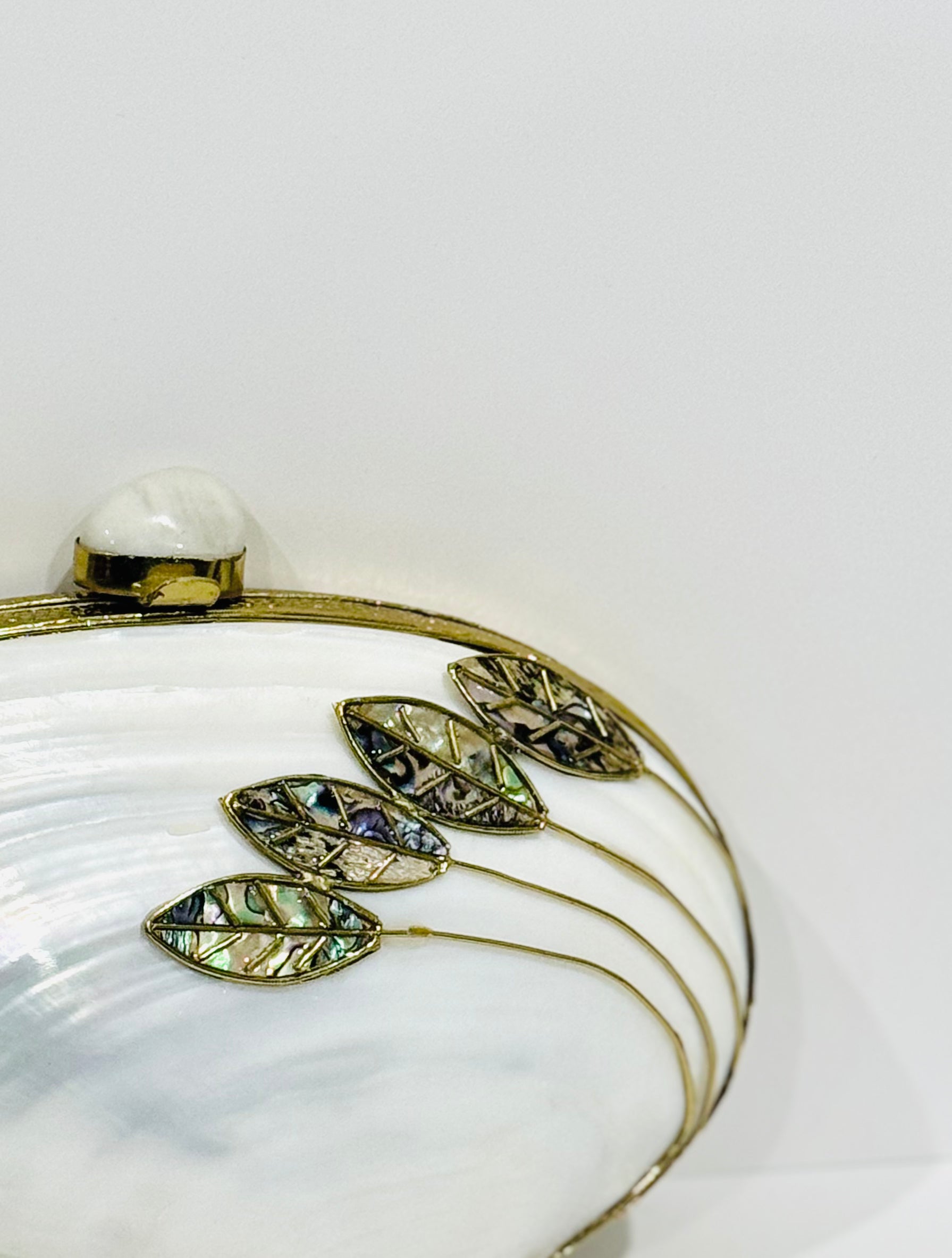 Mother of Pearl Shell Clutch — styled view