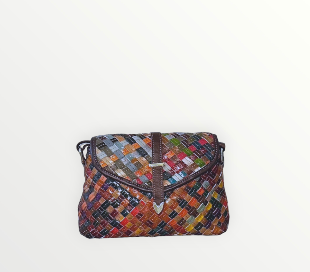Multicolor Leather Handbag